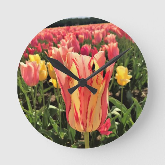 Horloge Ronde Pretty Spring Tulip (Recto)