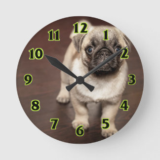 Horloge Ronde Pug puppy