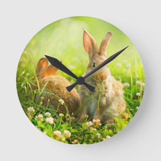 Horloge Ronde Rabbits d'Easter (Recto)