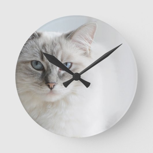 Horloge Ronde Ragdoll (Recto)