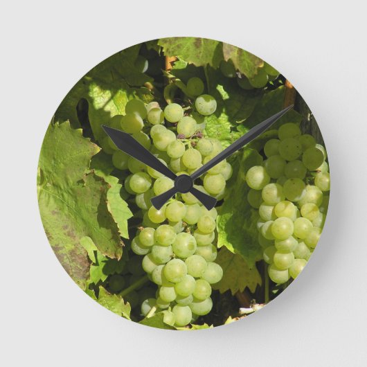 Horloge Ronde Raisins de Langenlois (Recto)