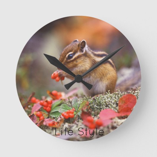 Horloge Ronde Reloj de pared Chipmunk (Recto)