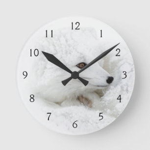 Horloge Ronde Renard arctique recroquevillé en hiver