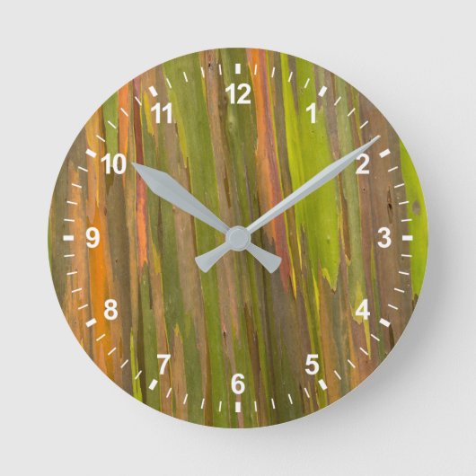 Horloge Ronde Résumé de l'écorce d'eucalyptus (Recto)