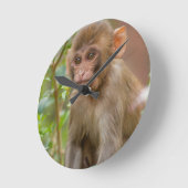 Horloge Ronde Rhesus Monkey Baby, Monkey Temple, Jaipur (Angle)