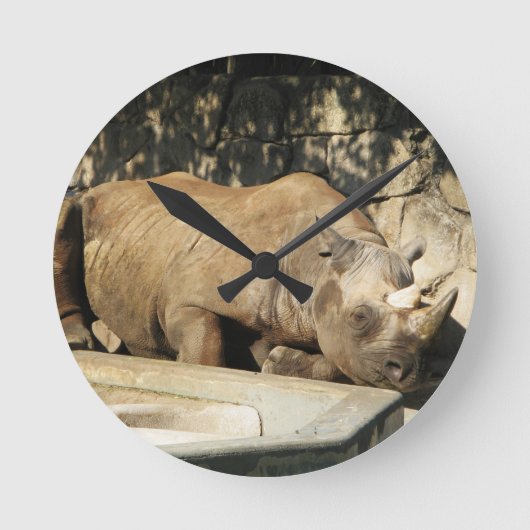 Horloge Ronde Rhino couché (Recto)