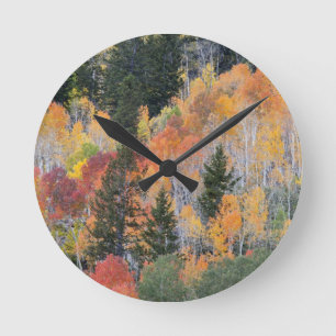 Horloge Ronde Rivière Provo et trembles