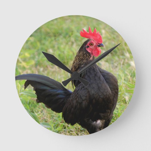 Horloge Ronde Rooster Portrait (Recto)