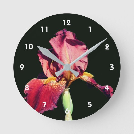 Horloge Ronde Root Beer Bearded Iris Flower (Recto)