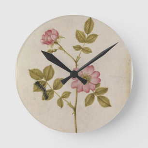 Horloge Ronde Rosa Canina - Dogrose et Caterpillar (crayon et