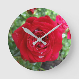Horloge ronde Rose de thé