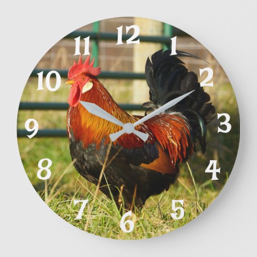 Horloge ronde Russe Rooster (Recto)