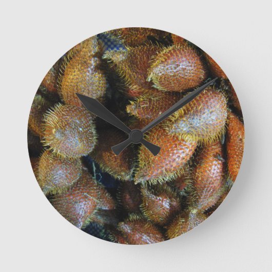 Horloge Ronde Salak [Fruit de serpent] (Recto)