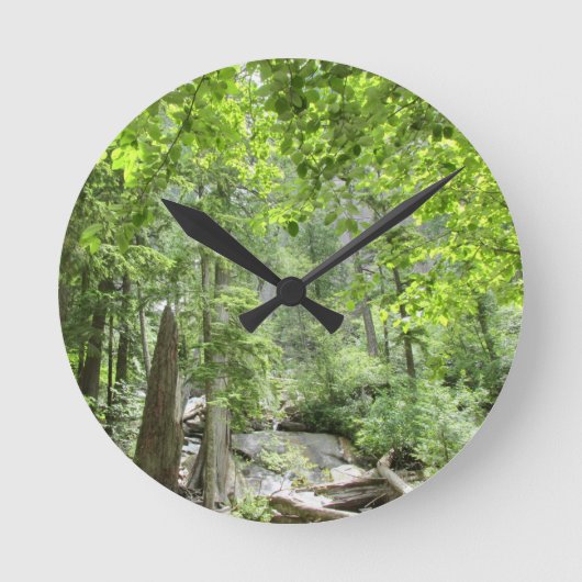 Horloge Ronde Scène de Forêt Verte Magique. (Recto)