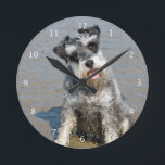 Horloge Ronde Schnauzer miniature dog cute photo beach, toxique<br><div class="desc">Beautiful photo of a cute miniature schnauzer dog at the beach wall clock. great venft idea for dog lovers</div>
