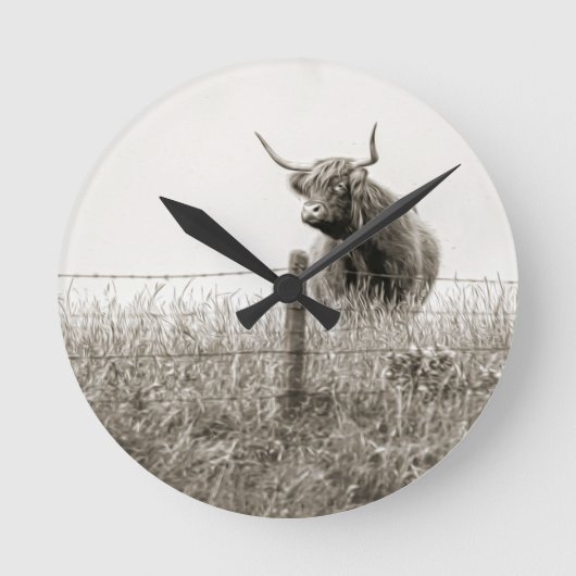 Horloge Ronde Scottish cow photograph (Recto)