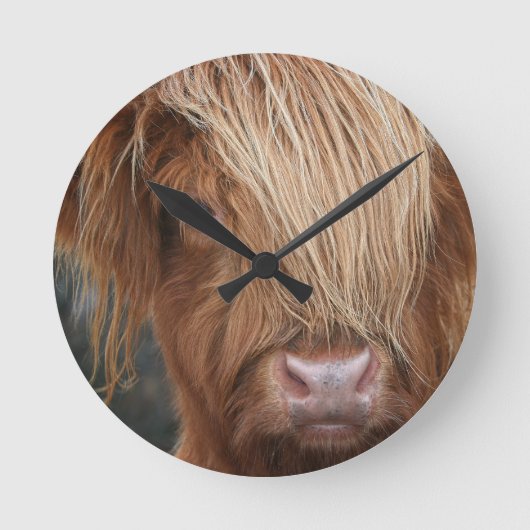 Horloge Ronde Scottish Highland Cows - Scotland (Recto)