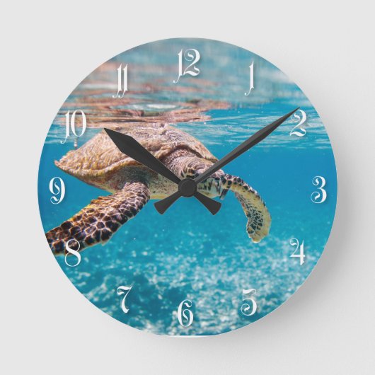 Horloge Ronde Sea turtle (Recto)