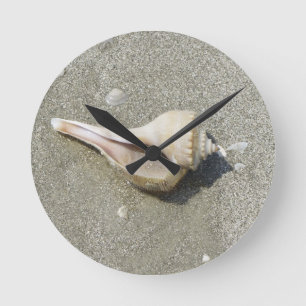 Horloge Ronde Seashell
