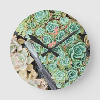 Horloge Ronde Sempervivum