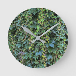 Horloge Ronde Serene Green Ivy Wall Suspendre Vins Plantes Feuil