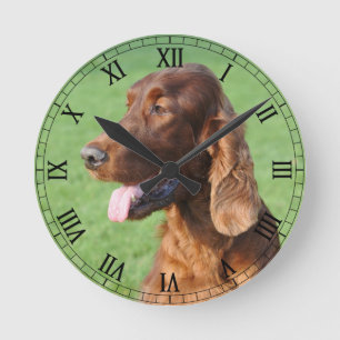 Horloge Ronde Setter irlandais
