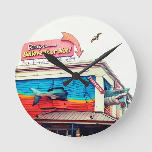 Horloge Ronde Shark  (Recto)