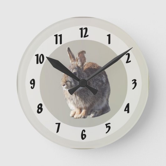 Horloge Ronde Siège de lapin (Recto)