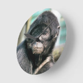 HORLOGE RONDE SINGES (Angle)