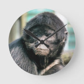 HORLOGE RONDE SINGES (Recto)