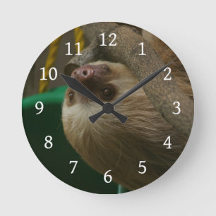 Horloge Ronde Sloth
