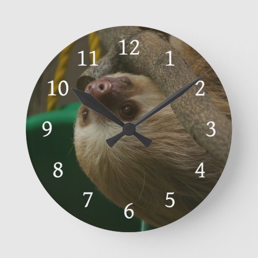 Horloge Ronde Sloth (Recto)