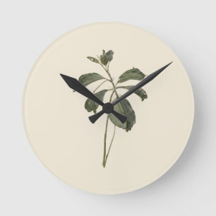 Horloge Ronde Spécimen de feuille verte botanique pressée vintag