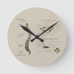 Horloge Ronde Spine