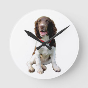 Horloge Ronde Springer Anglais - Blanc et fauve (chiot)