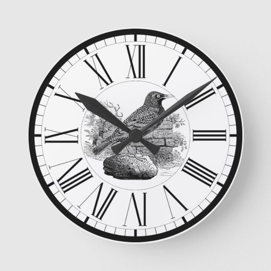 Horloge ronde Starling British Bird Illustration (Recto)