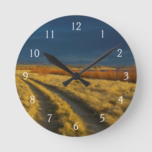 Horloge Ronde Sunset highlights the red bark of bushes (Recto)