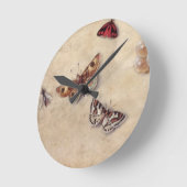 Horloge Ronde T31566 une étude de divers insectes, fruit et (Angle)