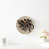Horloge Ronde Tarantula brachypelma rouge genou toxique (Maison)