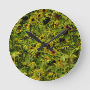 Horloge Ronde Terrain de tournesol
