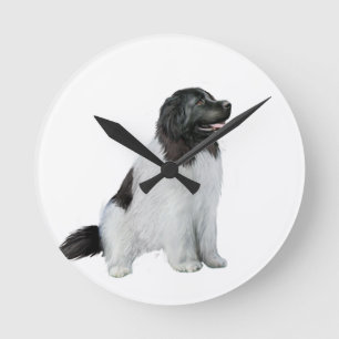 Horloge Ronde Terre-Neuve (C) - Landseer #1