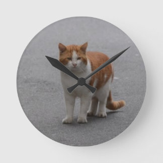 Horloge Ronde Thomas Ginger Et White Cat