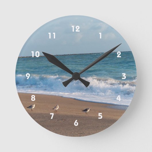Horloge Ronde three birds on shore florida beach (Recto)