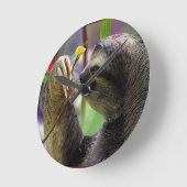 Horloge Ronde Three-Toed Tree Sloth (Angle)