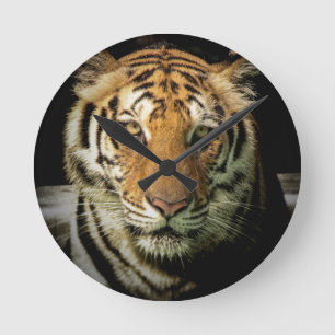 Horloge Ronde tigre