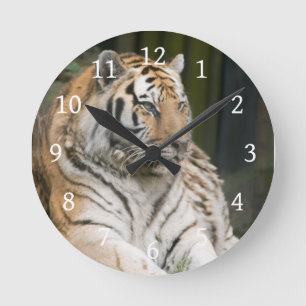 Horloge Ronde Tigre
