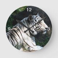 Tigre blanc