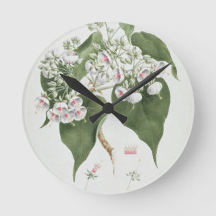 Horloge Ronde Torrida de Walkuffa No.5 Dombeya (la semaine