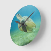 Horloge Ronde Tortue (Angle)