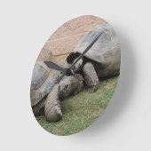 Horloge Ronde tortues géantes (Angle)